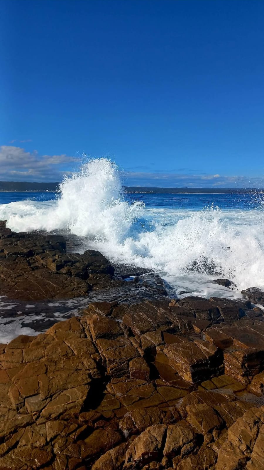 0 Bedroom Property for Sale in Stilbaai Oos Western Cape